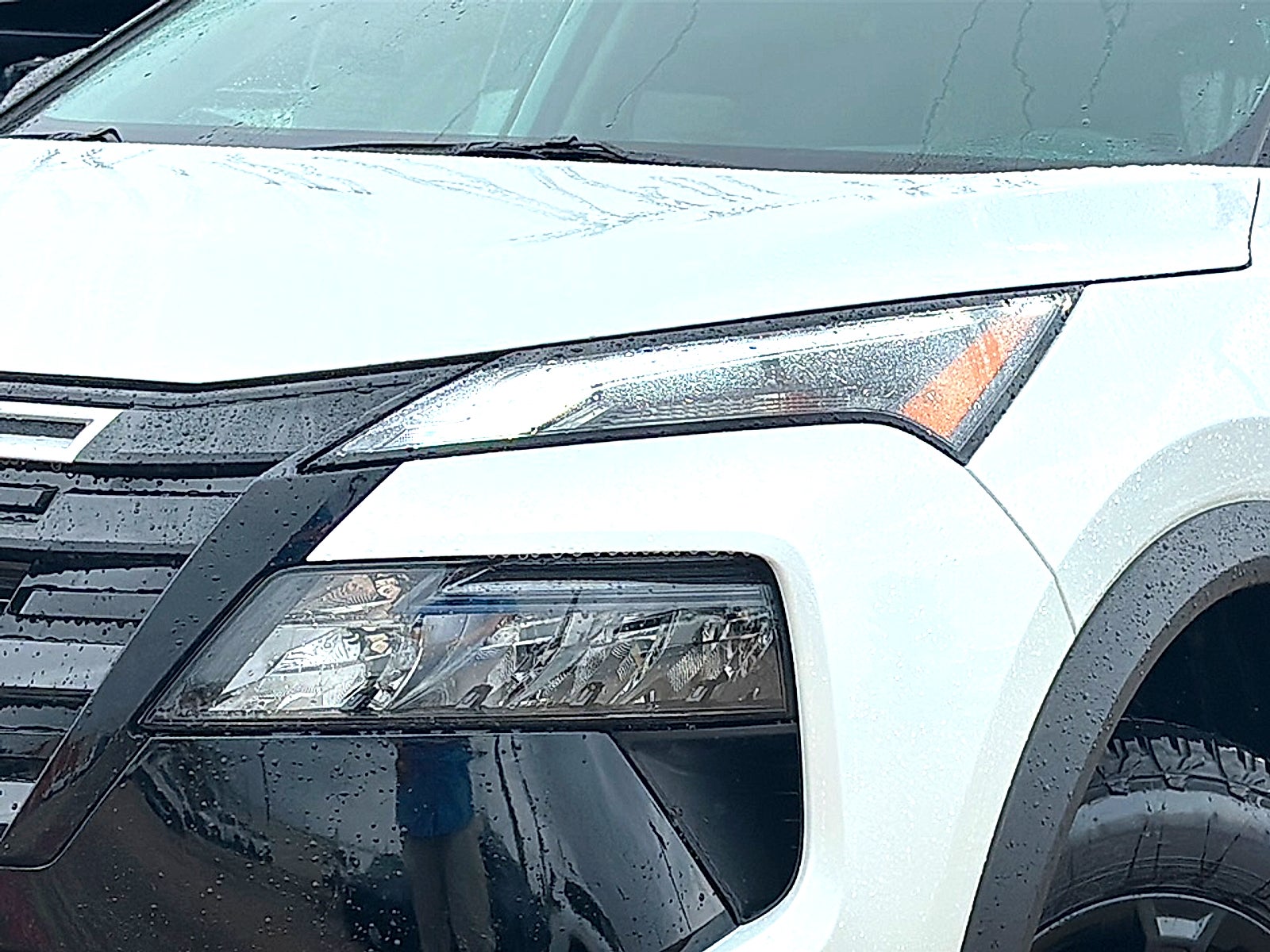 2026 Nissan Rogue Rock Creek®